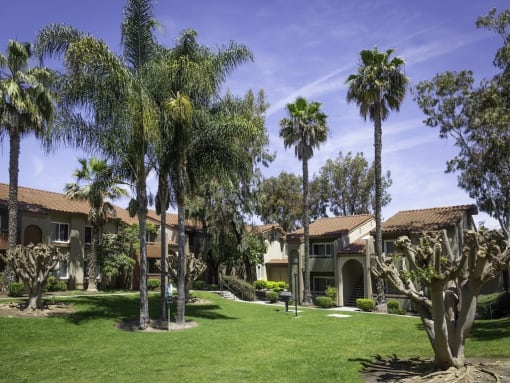 Outdoor Courtyard at Eucalyptus Grove Apartments, Chula Vista, CA, 91910